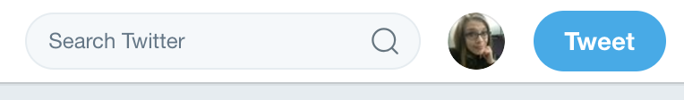 Search Bar without dropdown options on Twitter